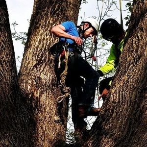 Meet your Posher, Colton